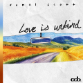 Love Is Unkind - Donal Scott