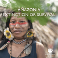 Amazonia Extinction or Survival