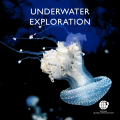 Underwater Exploration