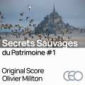 Secrets in the Wild / Vol 1 - Original Score by Olivier Militon 