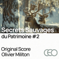 Secrets in the Wild / Vol 2 - Original Score by Olivier Militon 