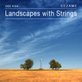 Landscapes with Strings