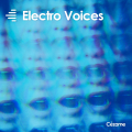 Electro Voices