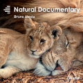 Natural Documentary