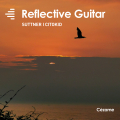 Reflective Guitar