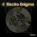 Electro Enigma