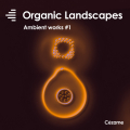 Ambient works 1 : Organic Landscapes