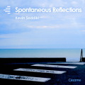 Spontaneous Reflections - Kevin Seddiki