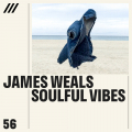 James Weals - Soulful Vibes