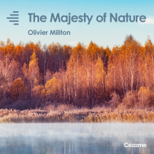 The Majesty of Nature