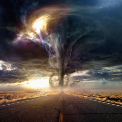 Best Of Trailers 预告片