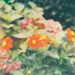 至柔民谣（无人声）