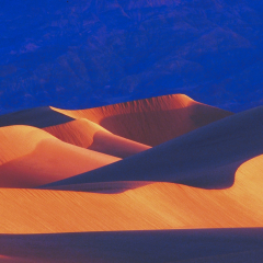 阿拉伯传统音乐