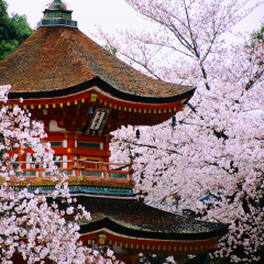 中国 - 传统与现代