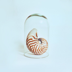 奇幻教室：海底世界