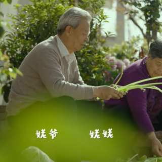 姥爷的牡丹小院