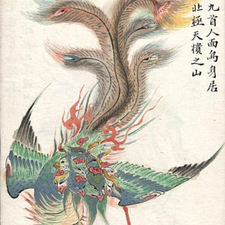 山海经：凤凰从何而来？
