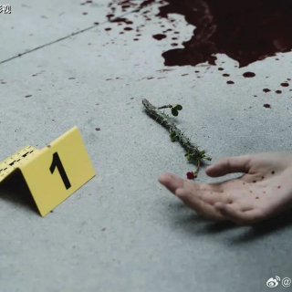网剧：凶案深处