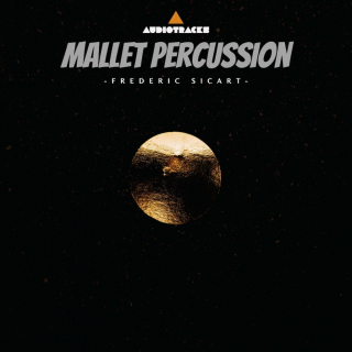 Mallet Percussion