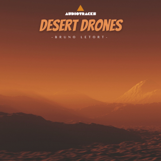 Desert Drones