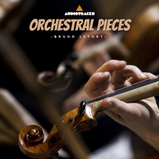 Orchestral Pieces