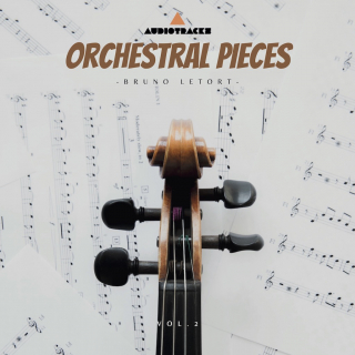 Orchestral Pieces Vol.2