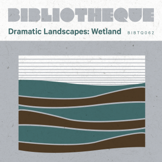 Dramatic Landscapes: Wetlands