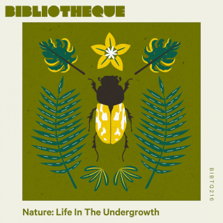 Nature: Life In The Undergrowth