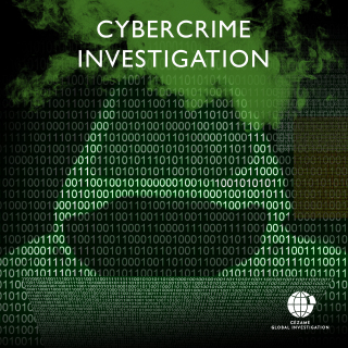 Cybercrime Investigation