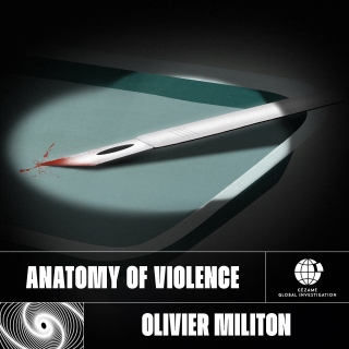Anatomy of Violence