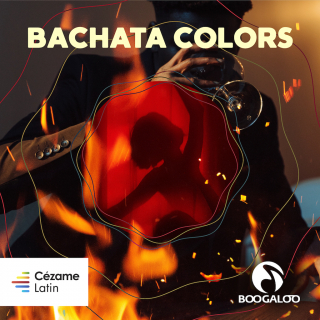 Bachata Colors