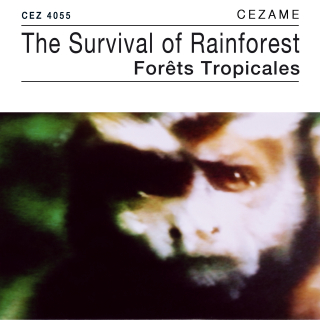 The Survival of Rainforests