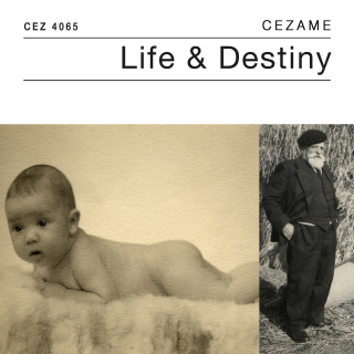 Life and Destiny