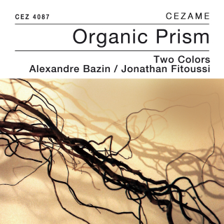 Organic Prism (electro minimalist)