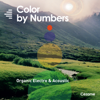 Color By Numbers