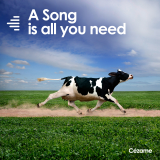 A Song is all you Need