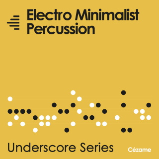 Electro Minimalist Percussion