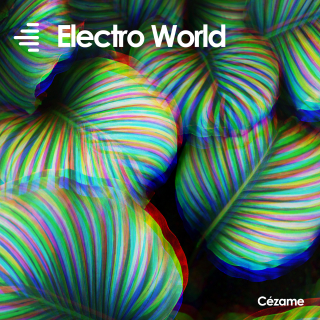 Electro World