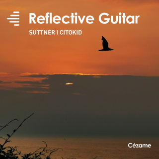 Reflective Guitar