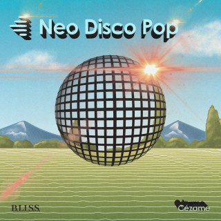 Neo Disco Pop