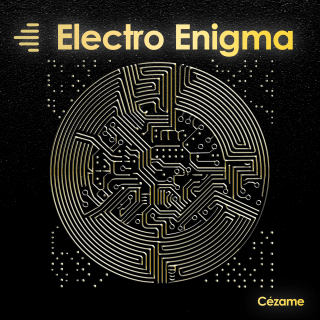 Electro Enigma