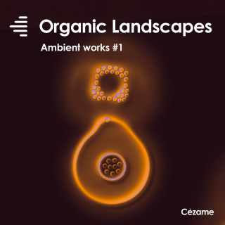 Ambient works 1 : Organic Landscapes