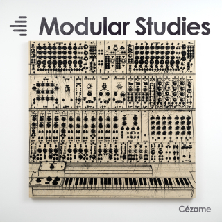 Modular Studies