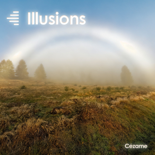 Illusions