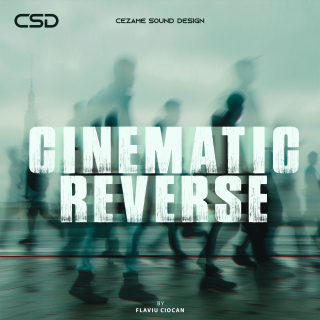 Cinematic Reverse