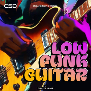 Low Funk Guitar