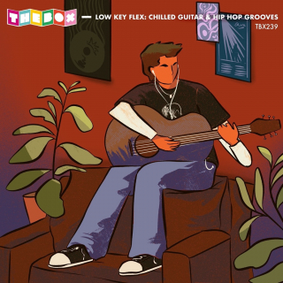 Low Key Flex: Chilled Guitar & Hip Hop Grooves