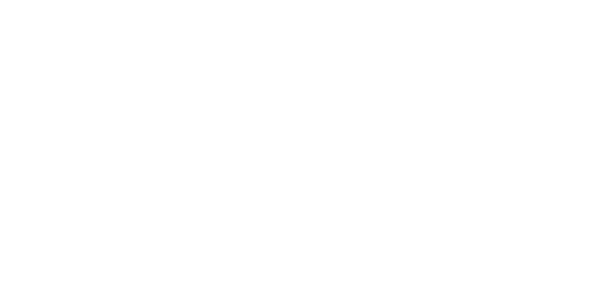 Li Ning
